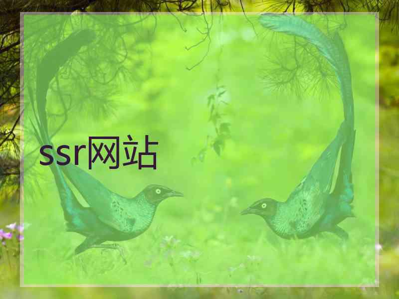 ssr网站