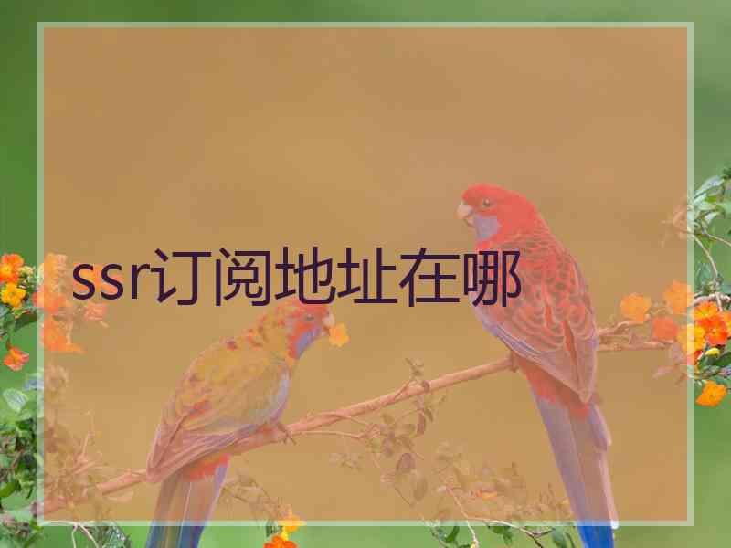 ssr订阅地址在哪