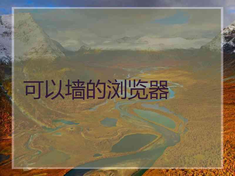 可以墙的浏览器