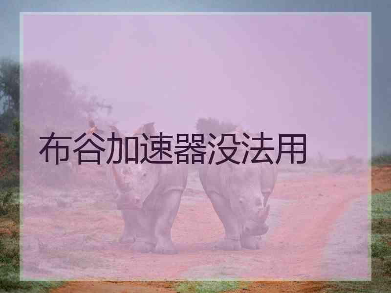 布谷加速器没法用