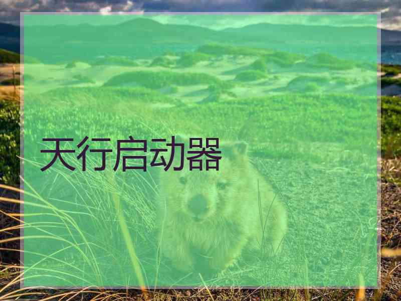 天行启动器