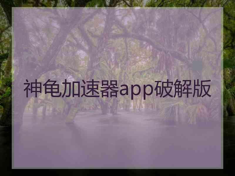 神龟加速器app破解版