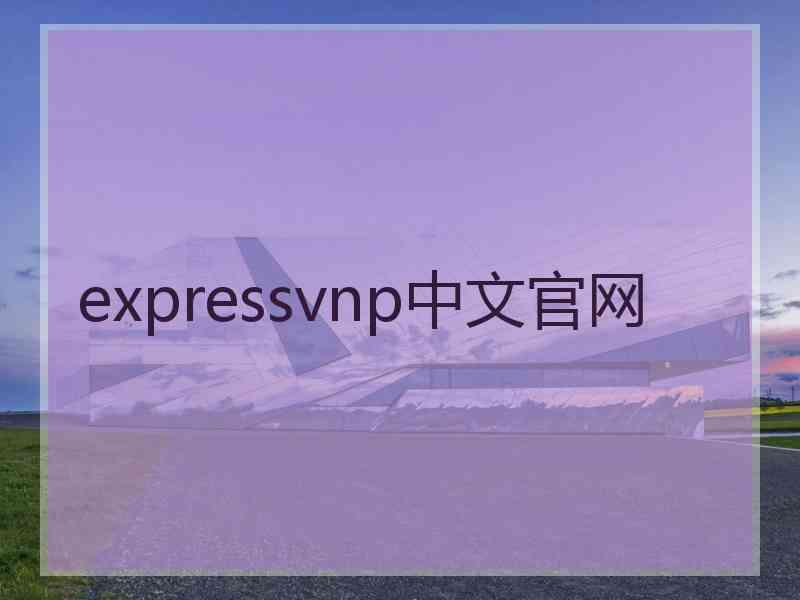 expressvnp中文官网
