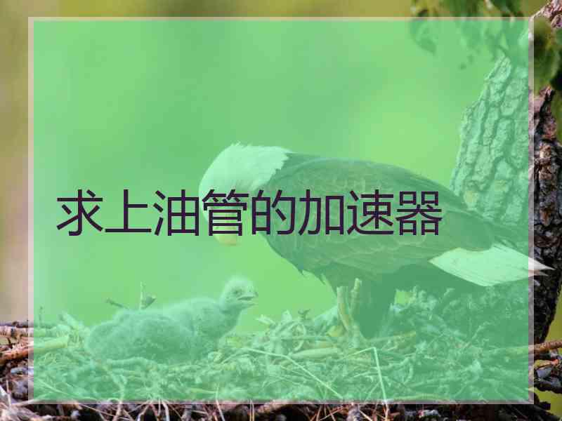 求上油管的加速器