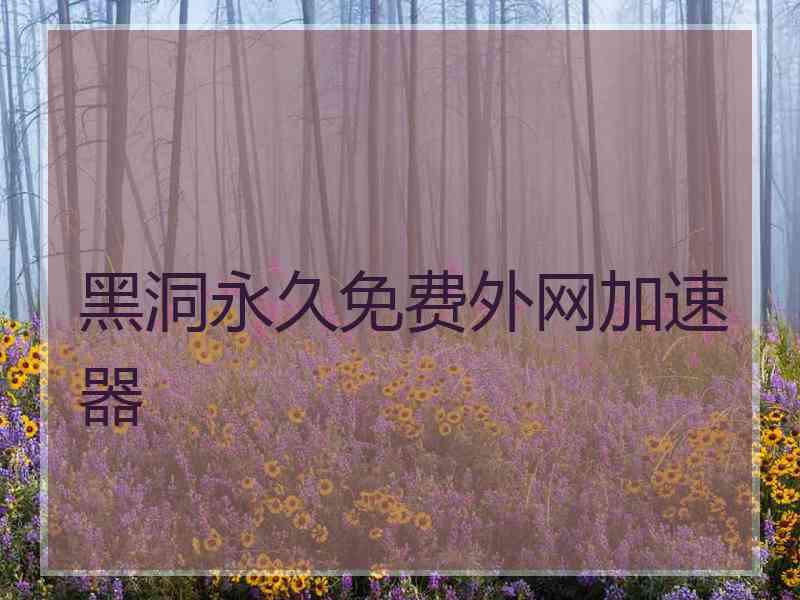 黑洞永久免费外网加速器