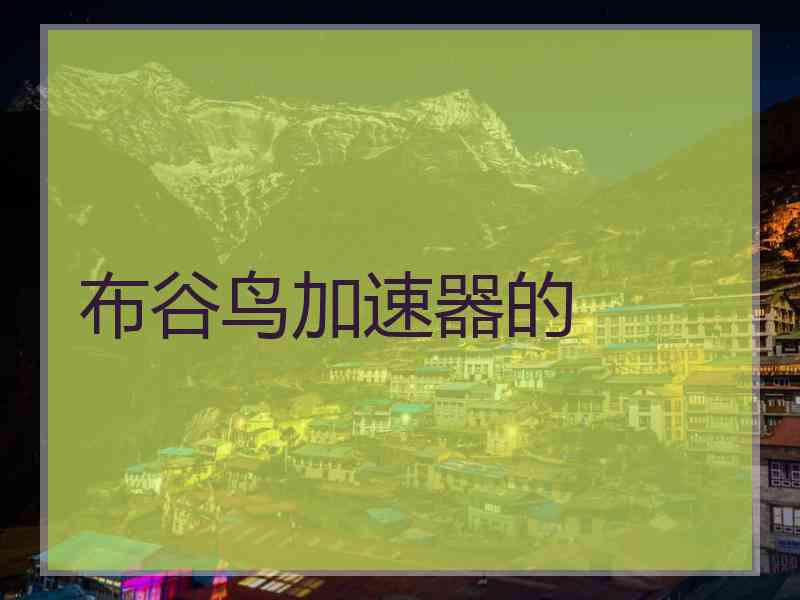布谷鸟加速器的