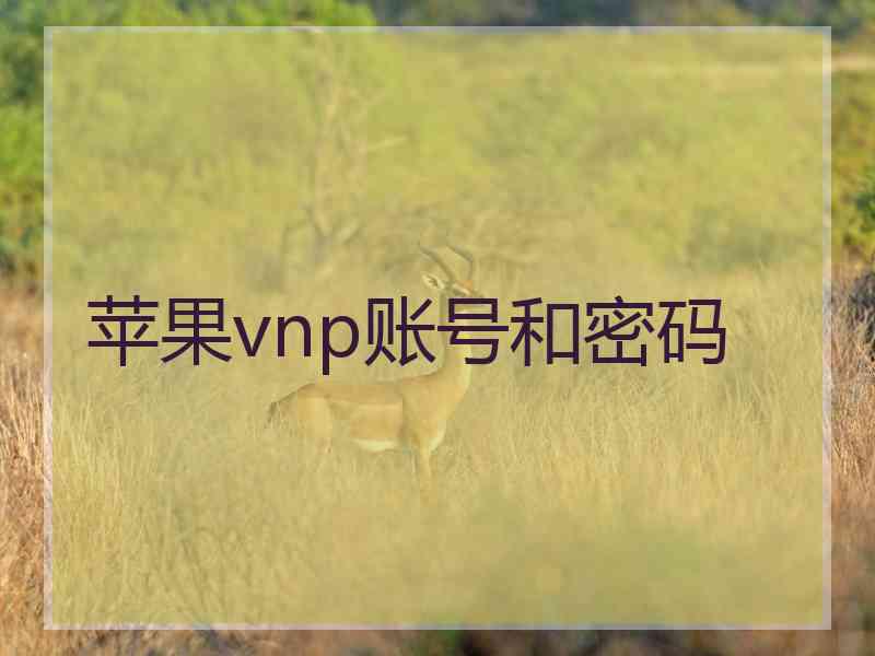 苹果vnp账号和密码