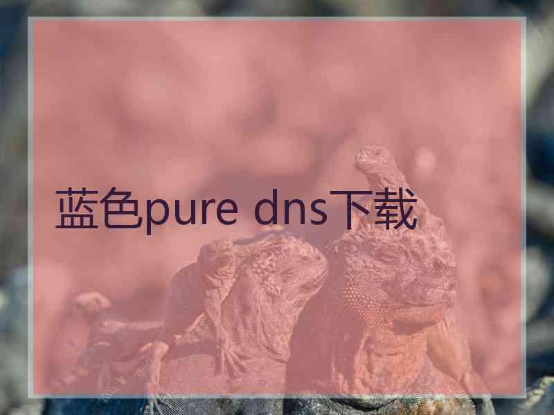 蓝色pure dns下载