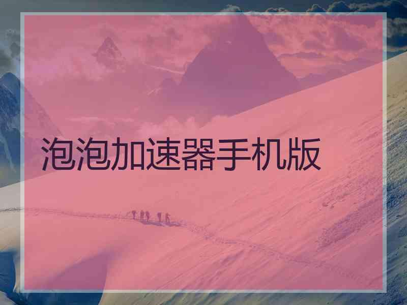 泡泡加速器手机版