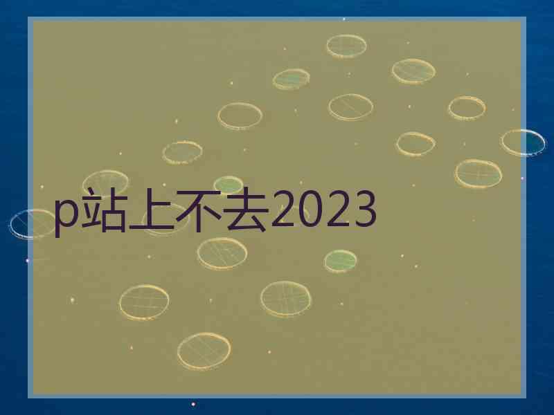p站上不去2023