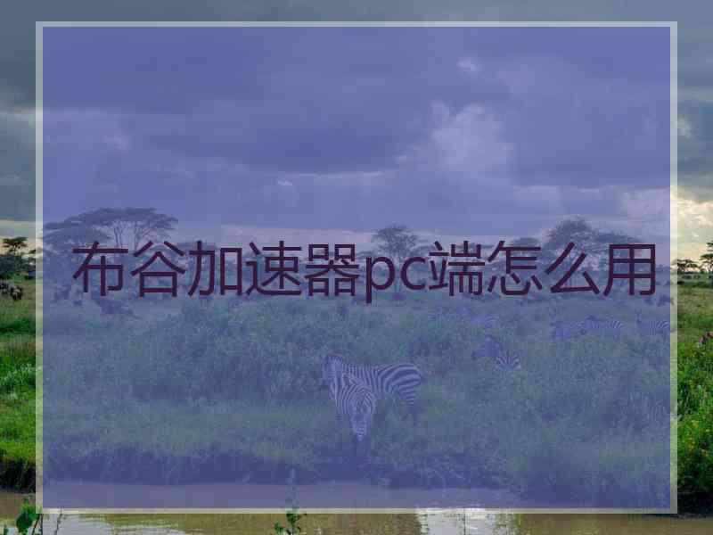 布谷加速器pc端怎么用