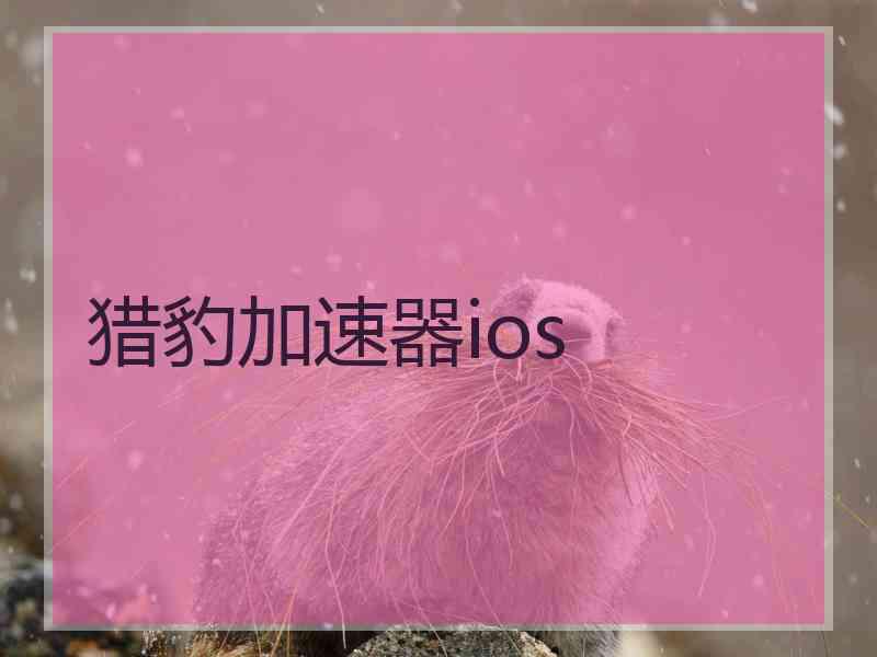 猎豹加速器ios