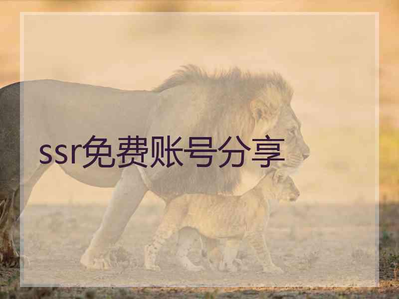 ssr免费账号分享
