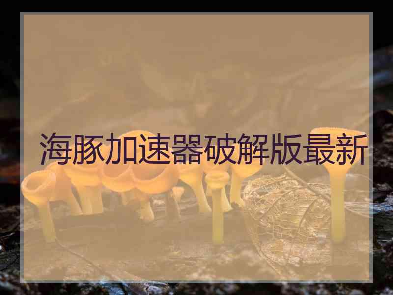 海豚加速器破解版最新