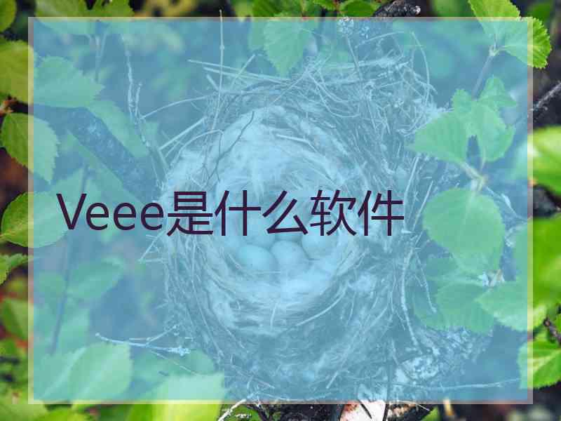 Veee是什么软件