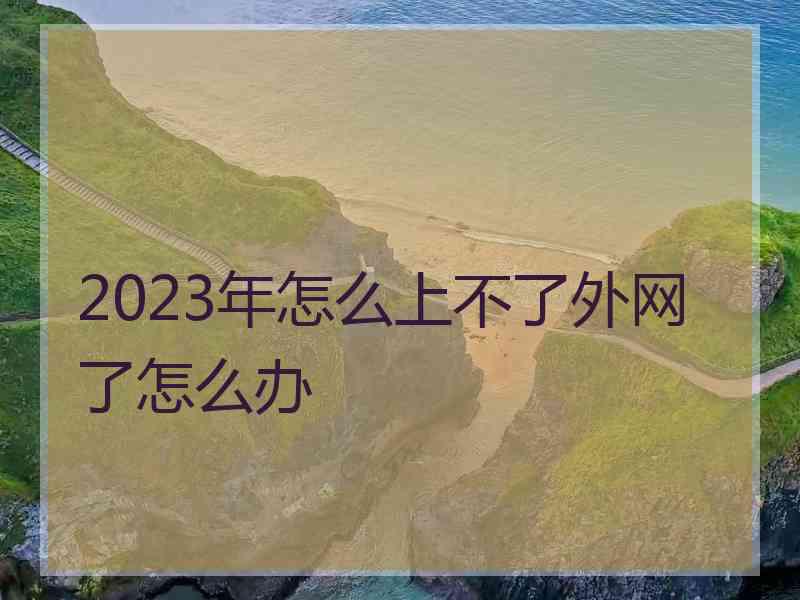 2023年怎么上不了外网了怎么办