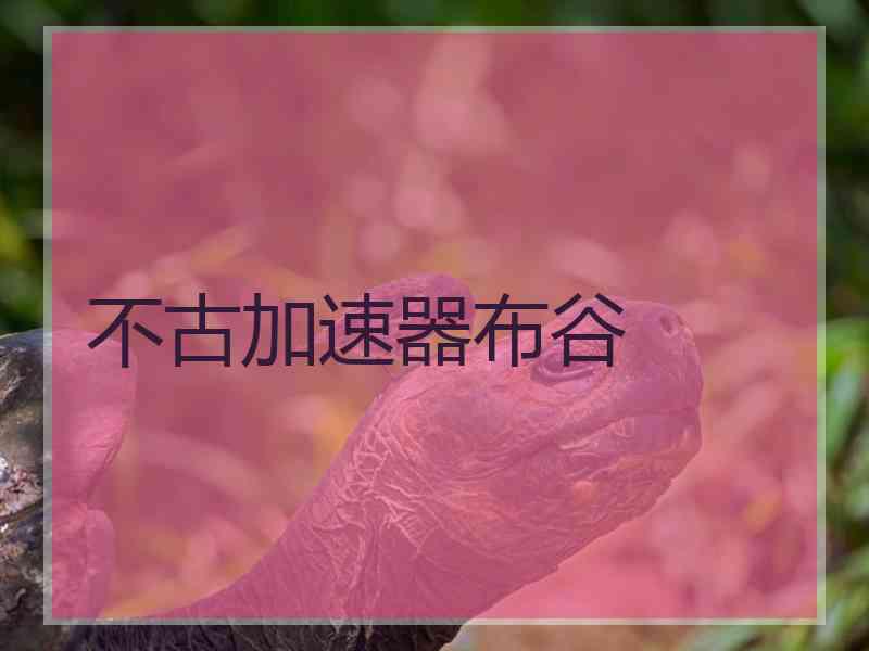不古加速器布谷