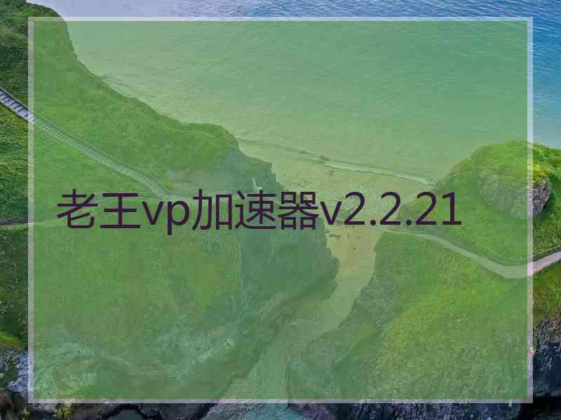 老王vp加速器v2.2.21
