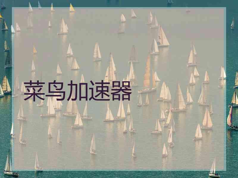 菜鸟加速器