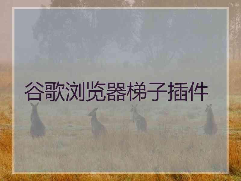 谷歌浏览器梯子插件