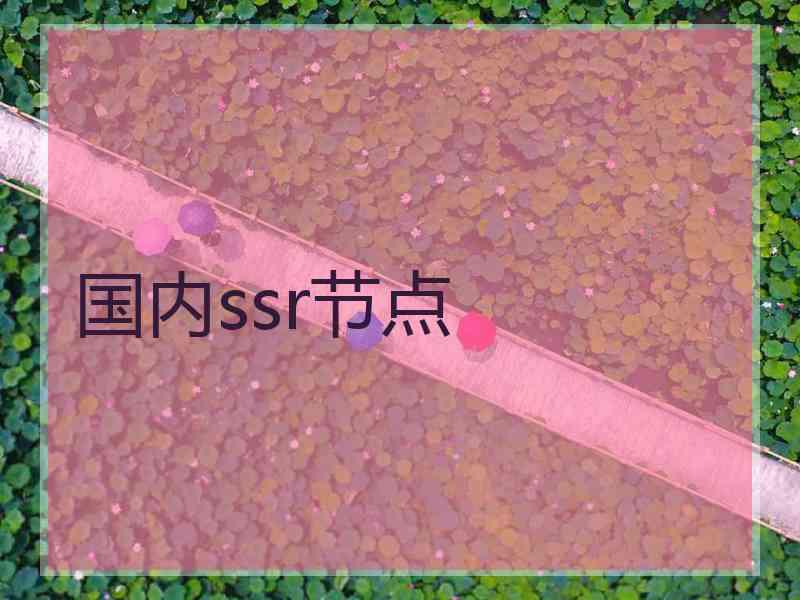国内ssr节点