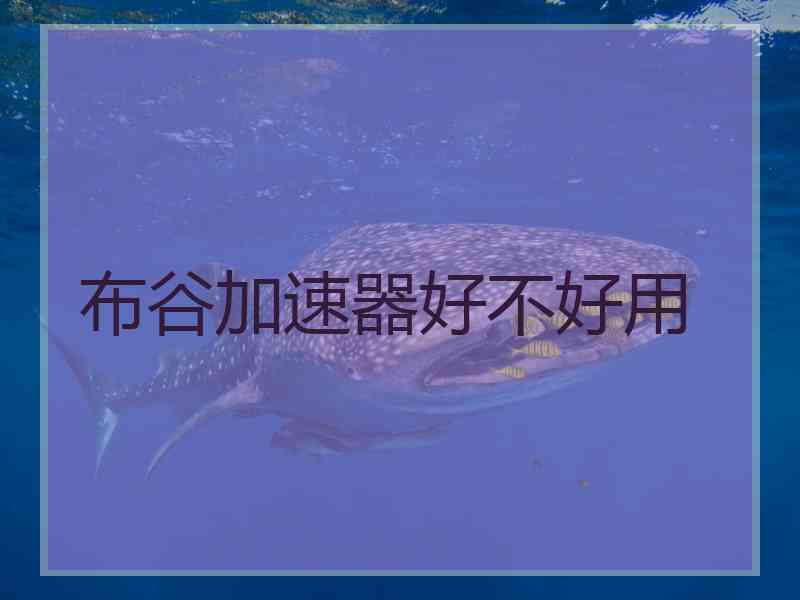 布谷加速器好不好用