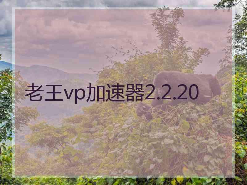 老王vp加速器2.2.20