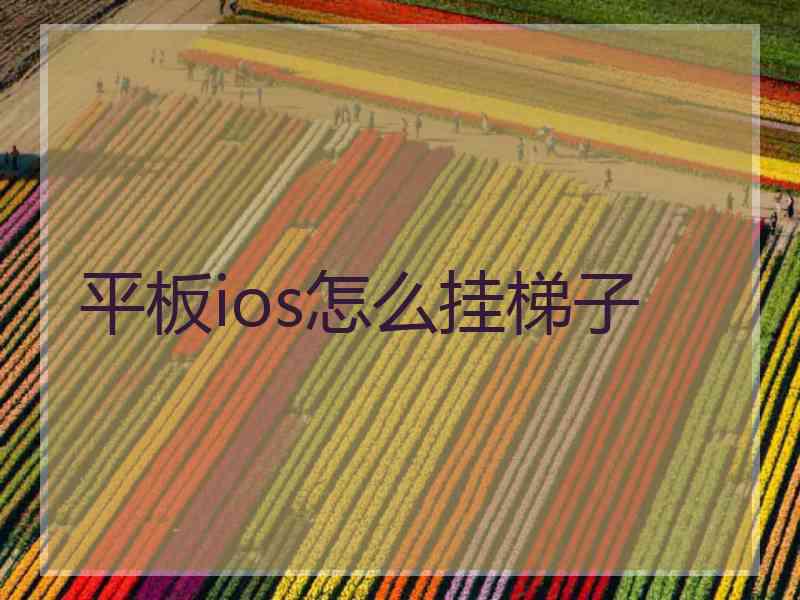 平板ios怎么挂梯子