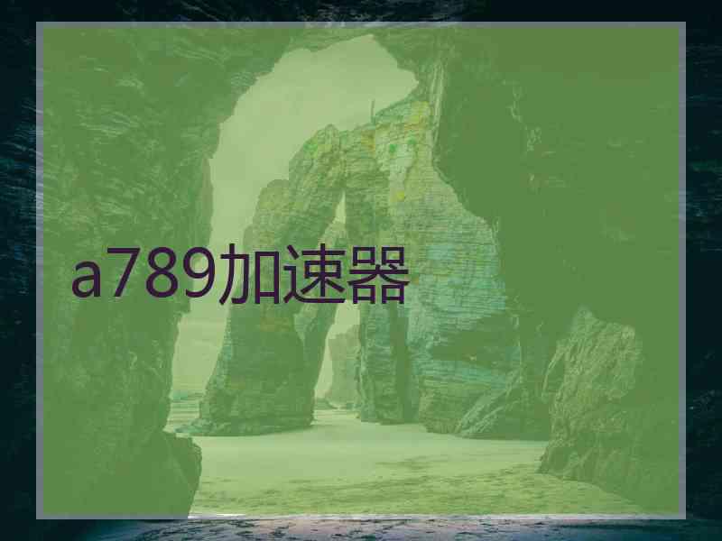 a789加速器