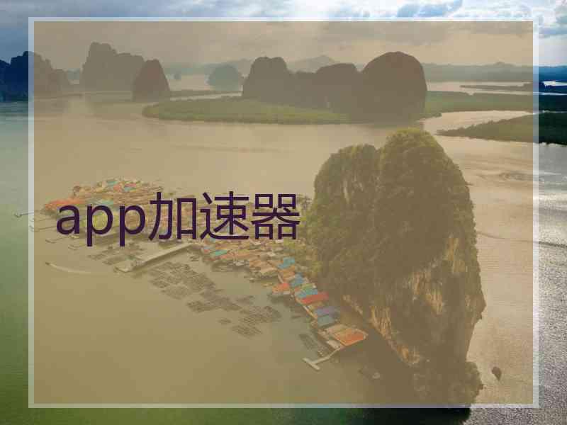 app加速器