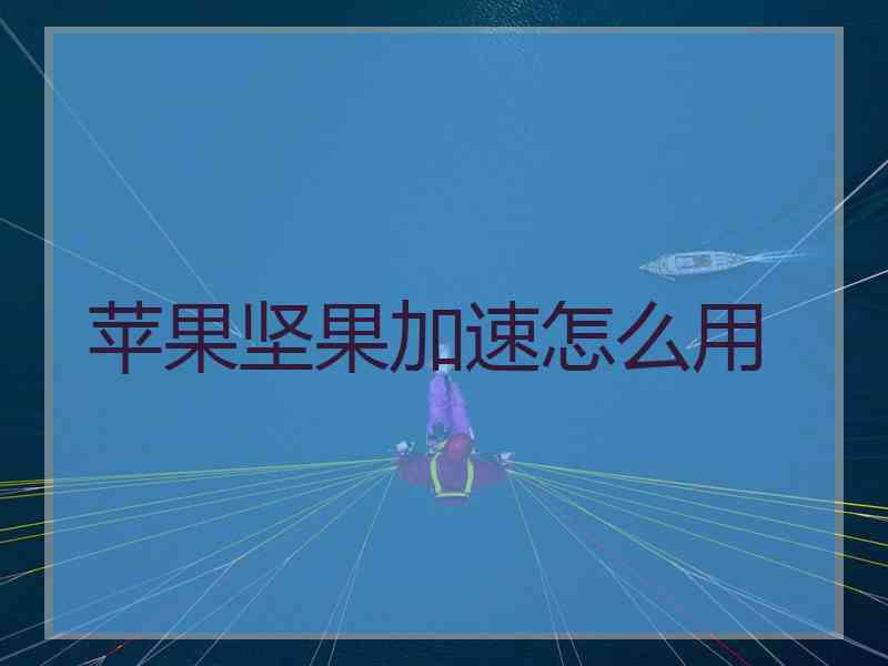 苹果坚果加速怎么用