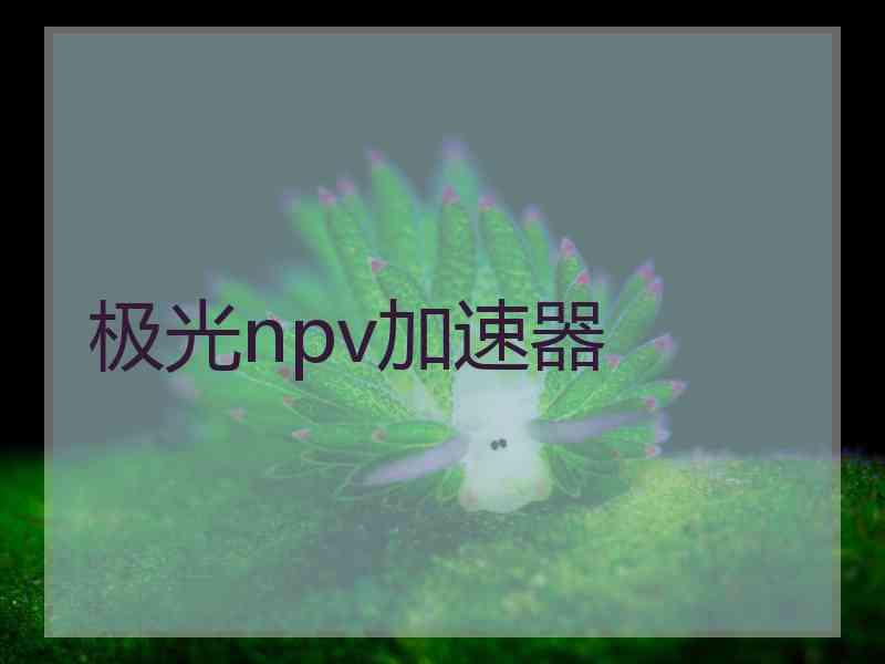极光npv加速器