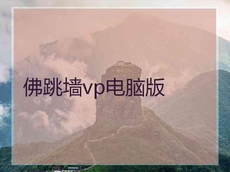 佛跳墙vp电脑版